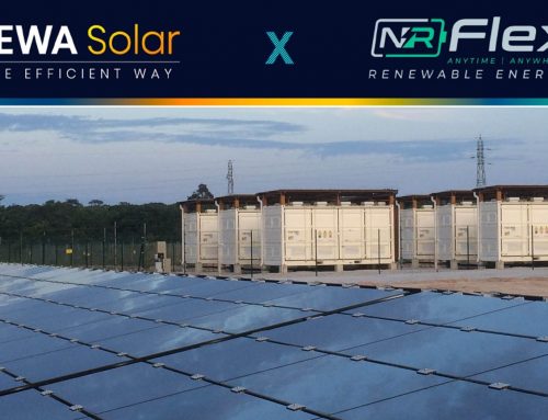 Partenariat TEWA Solar x NR Flex !